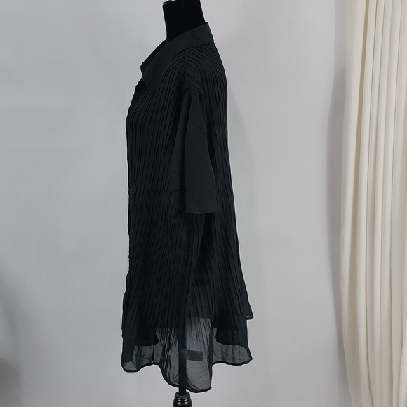 Only Necessities Sheer Pleated Button Top - Picture 7 of 9